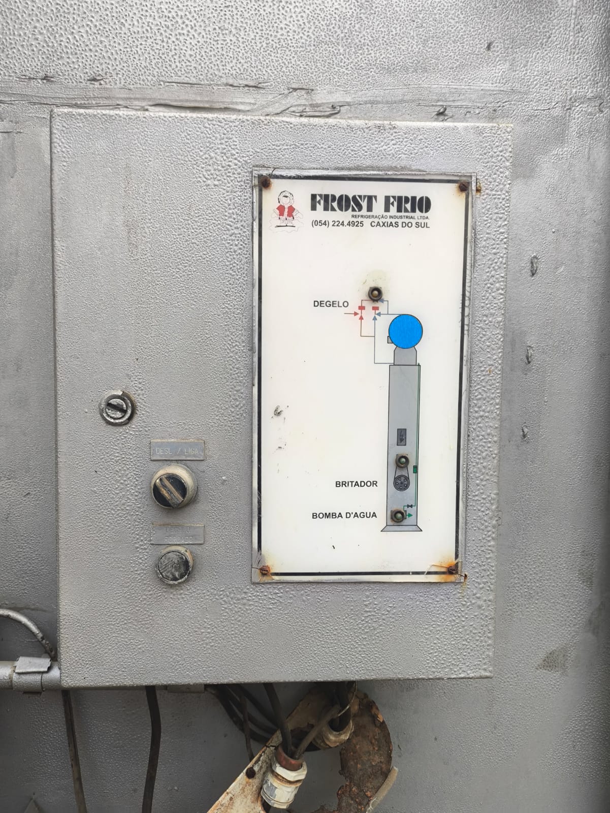 Geradora de Gelo Escamas